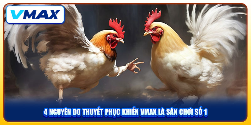 Thưởng Thức Đá Gà Cựa Sắt VMAX Bùng Nổ Với Tỷ Lệ Thắng 96% 4 4 nguyên do thuyết phục khiến VMAX là sân chơi số 1