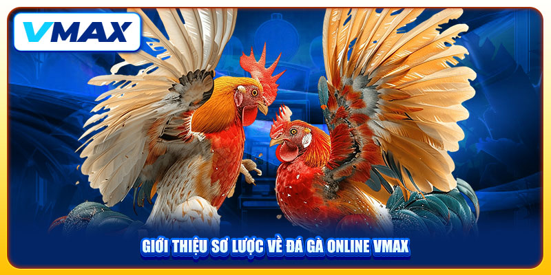 Đá Gà VMAX Mãn Nhãn Với Nhiều Pha Tấn Công Hiểm Hóc 1 Giới thiệu sơ lược về đá gà online VMAX