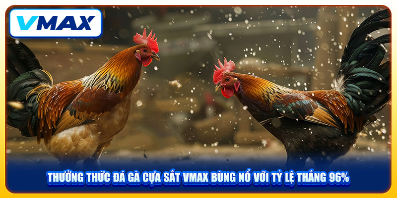 Thưởng Thức Đá Gà Cựa Sắt VMAX Bùng Nổ Với Tỷ Lệ Thắng 96% 1 Thưởng Thức Đá Gà Cựa Sắt VMAX Bùng Nổ Với Tỷ Lệ Thắng 96%