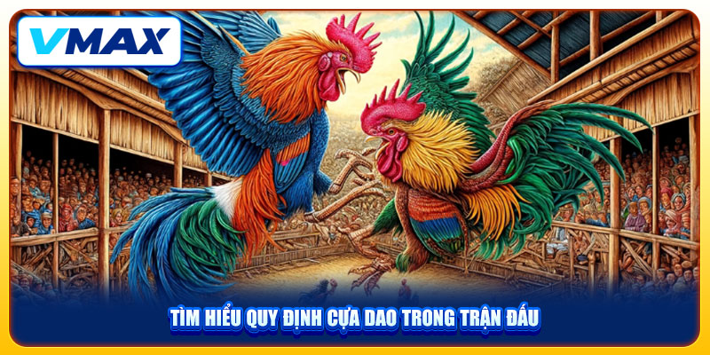 Trải Nghiệm Đá Gà Cựa Dao VMAX Với Những Màn Tranh Tài Nảy Lửa 3 Tìm hiểu quy định cựa dao trong trận đấu