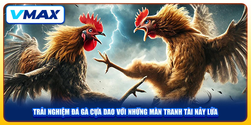 Trải Nghiệm Đá Gà Cựa Dao VMAX Với Những Màn Tranh Tài Nảy Lửa 1 Trải Nghiệm Đá Gà Cựa Dao VMAX Với Những Màn Tranh Tài Nảy Lửa